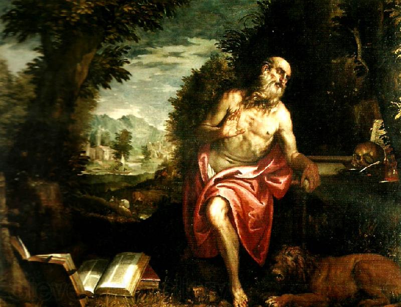 Paolo  Veronese st. jerome Norge oil painting art